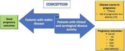 Undifferentiated Connective Tissue Disease in Pregnancy: A Topic Yet to be Explored